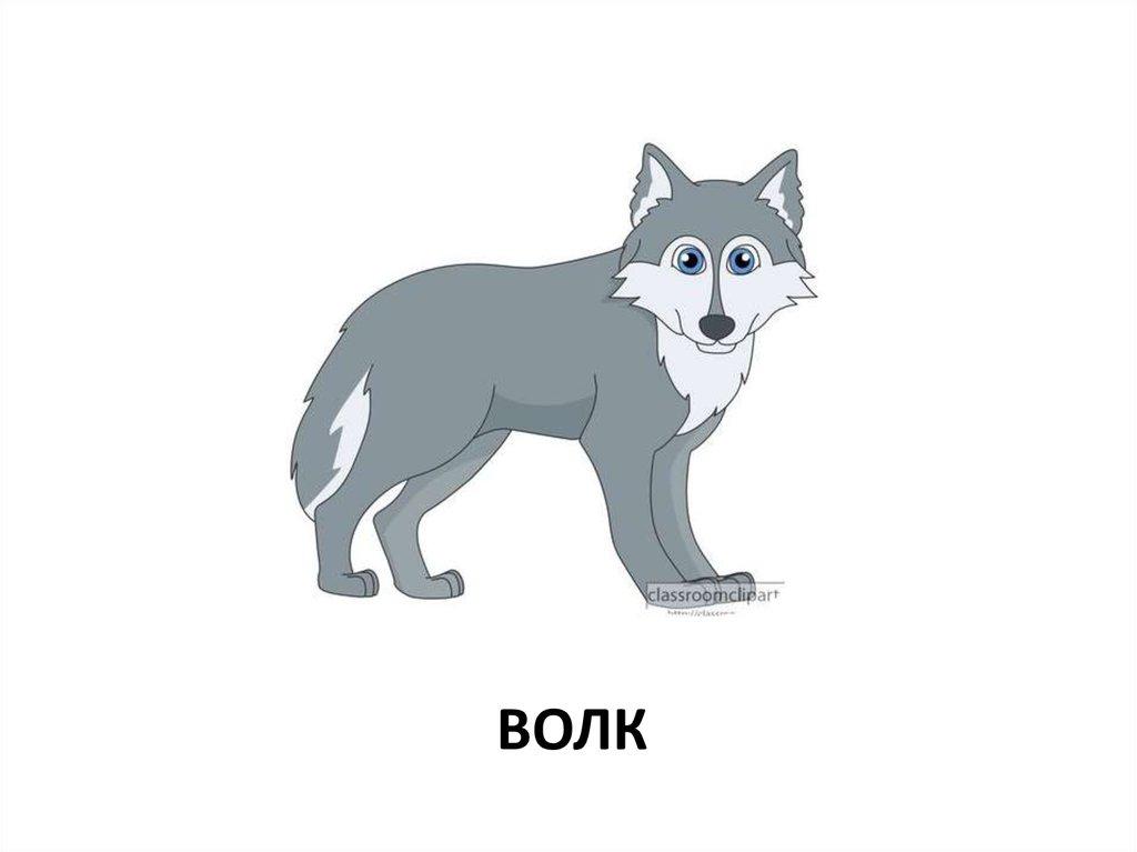 волк