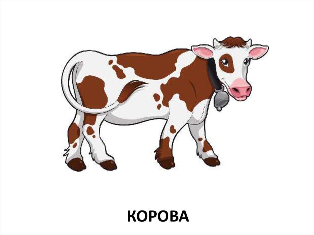 корова