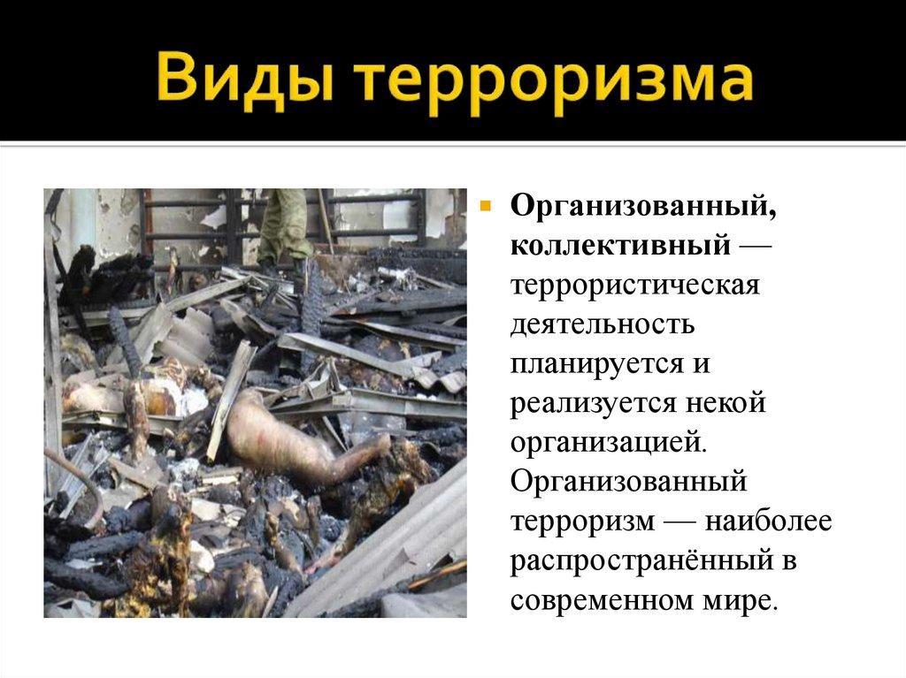 Виды терроризма