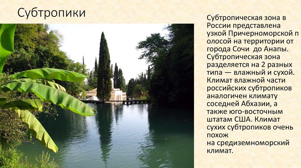 Субтропики