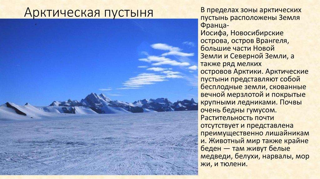 Арктическая пустыня