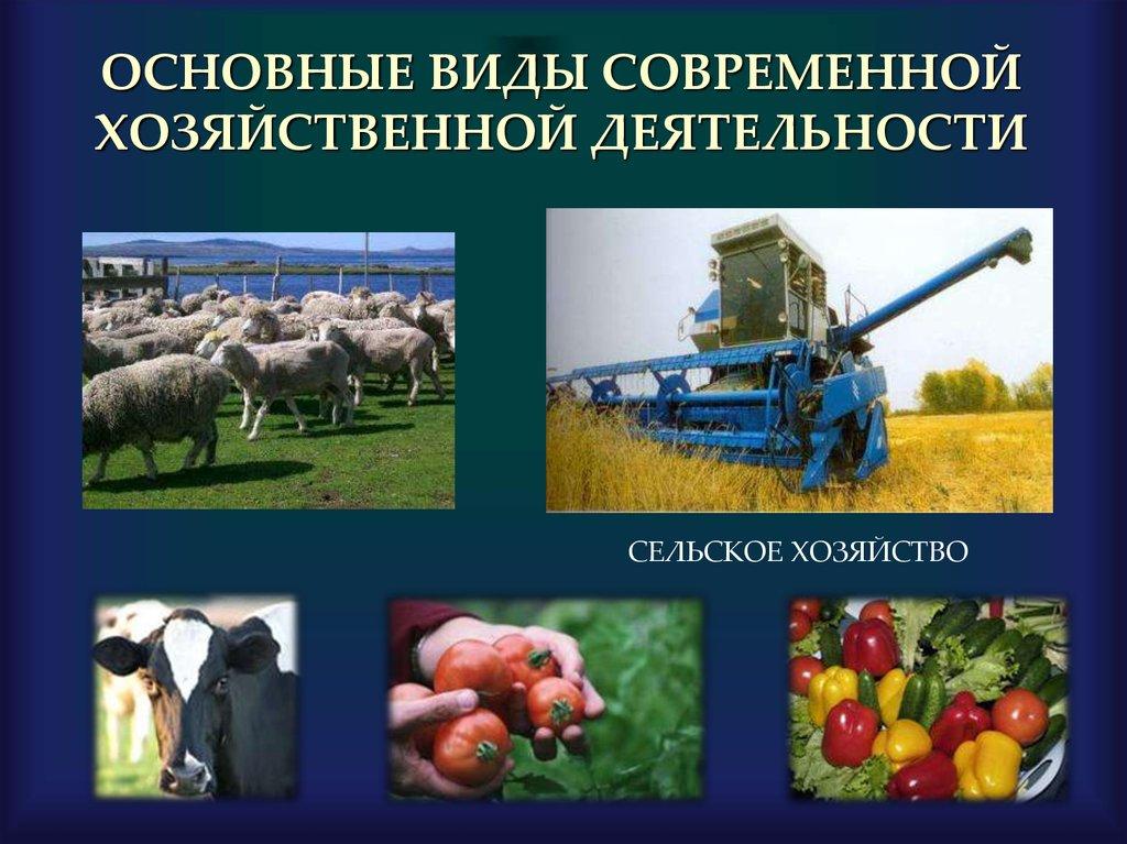 ОСНОВНЫЕ ВИДЫ СОВРЕМЕННОЙ ХОЗЯЙСТВЕННОЙ ДЕЯТЕЛЬНОСТИ