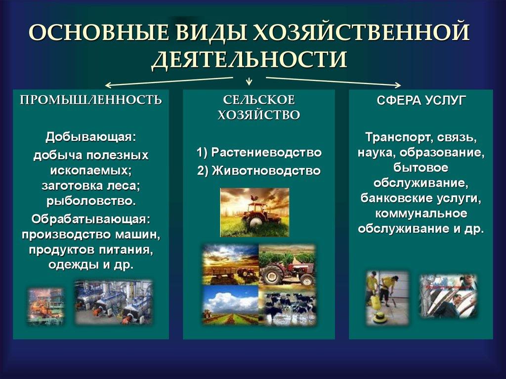 ОСНОВНЫЕ ВИДЫ ХОЗЯЙСТВЕННОЙ ДЕЯТЕЛЬНОСТИ