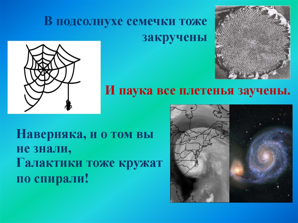 Наверняка, и о том вы не знали, Галактики тоже кружат по спирали!