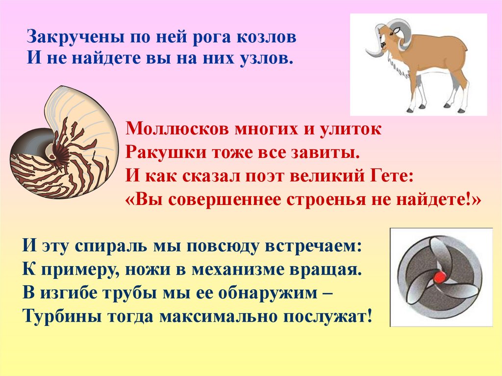 Закручены по ней рога козлов И не найдете вы на них узлов.