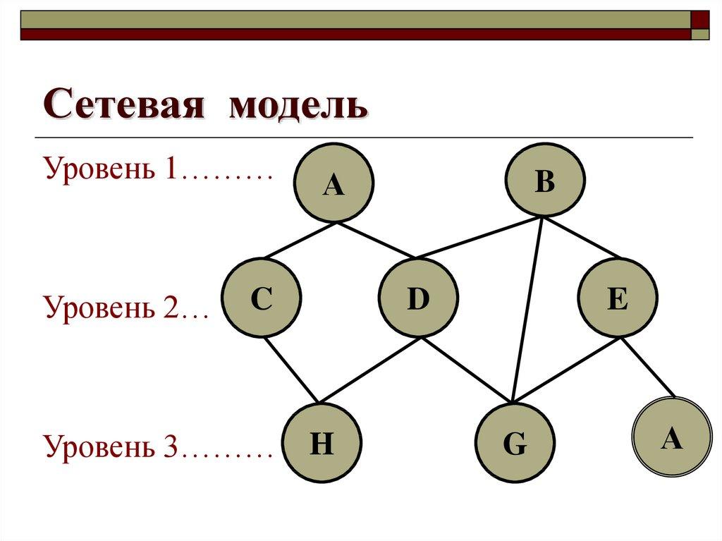 Сетевая модель