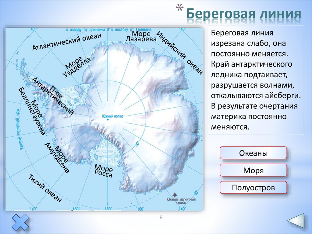 Береговая линия