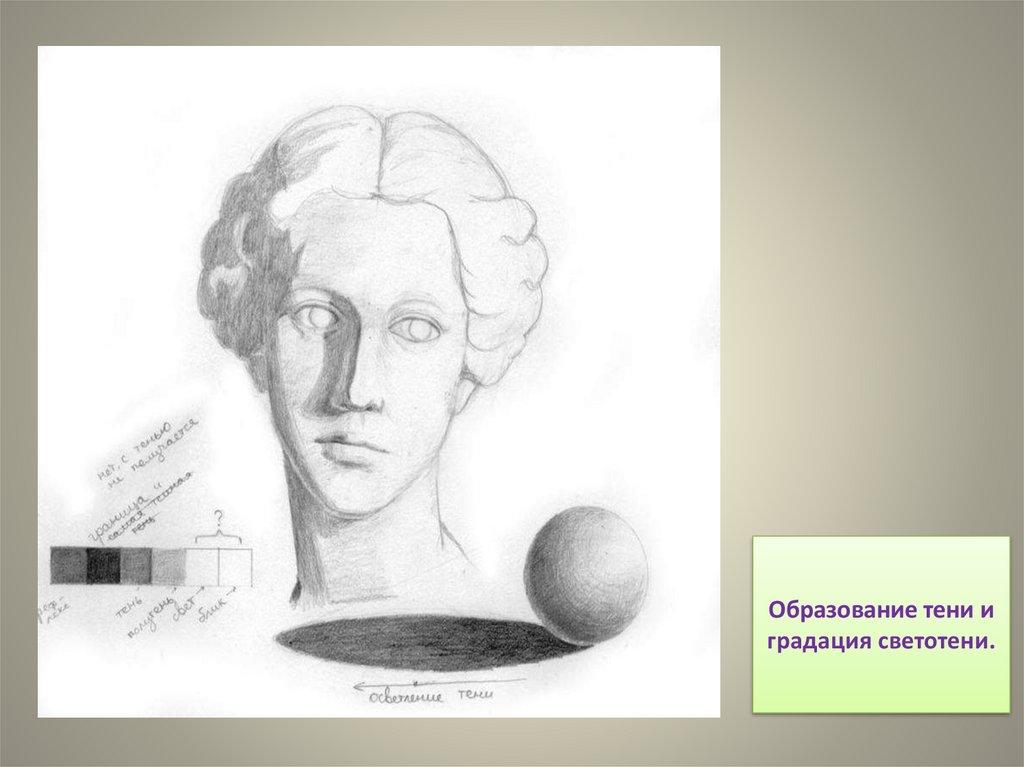 Образование тени и градация светотени.