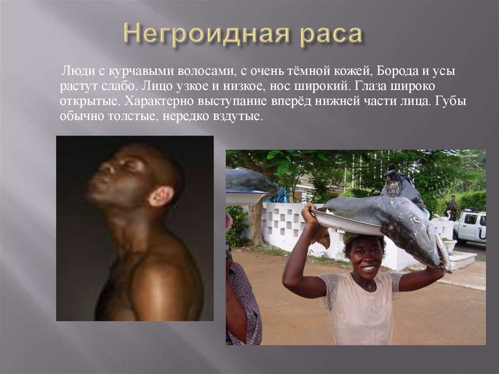 Негроидная раса