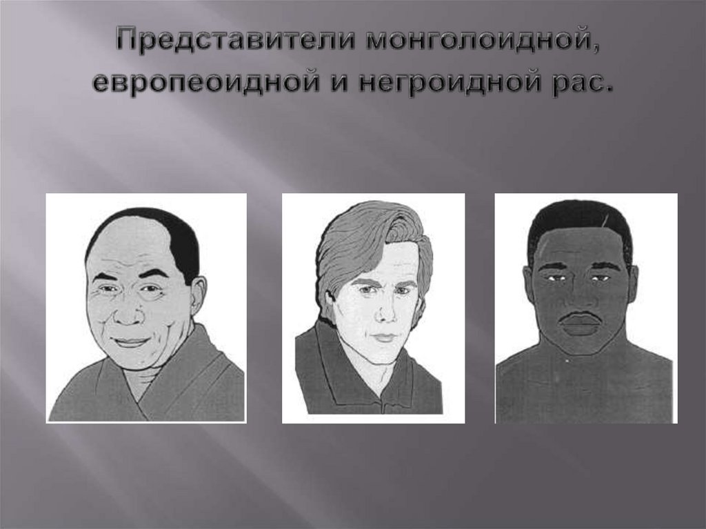 Представители монголоидной, европеоидной и негроидной рас.