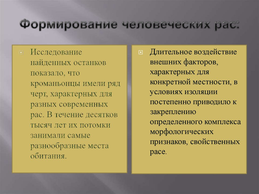 Формирование человеческих рас: