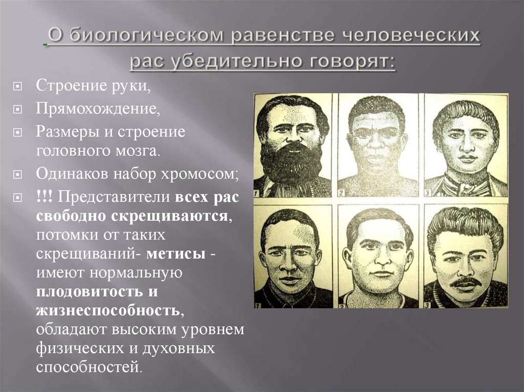 О биологическом равенстве человеческих рас убедительно говорят: