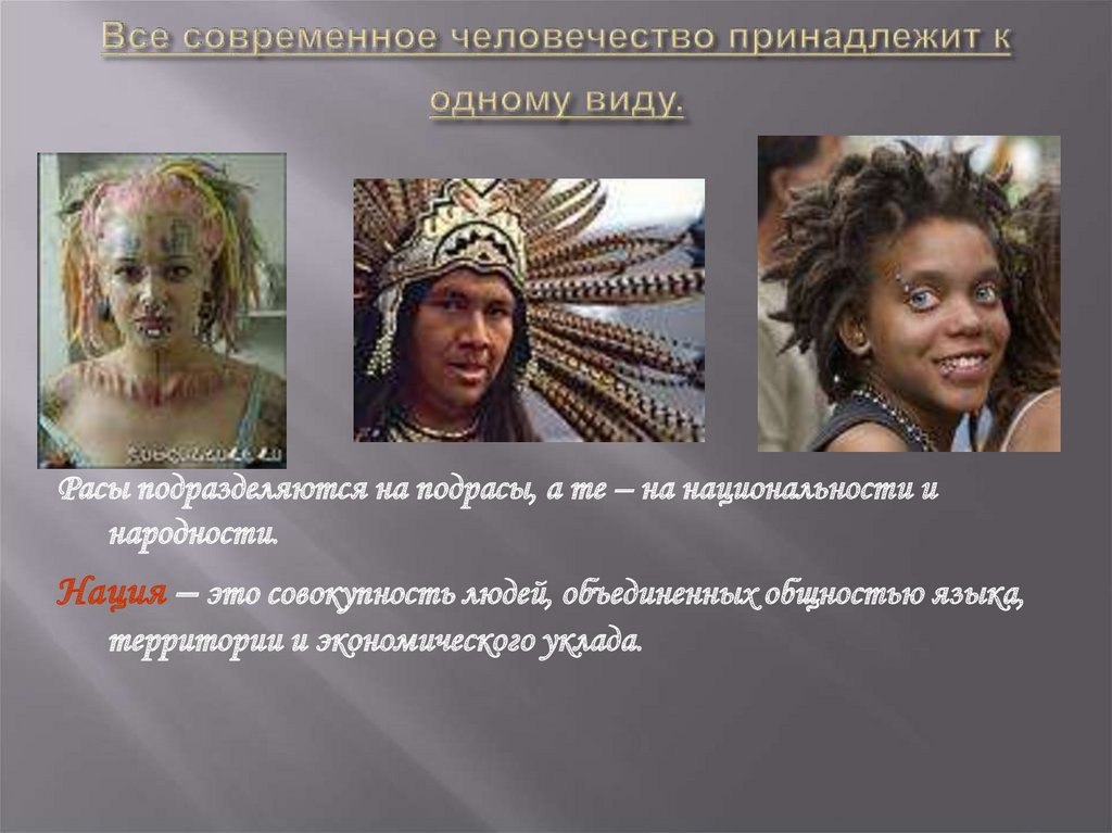 Все современное человечество принадлежит к одному виду.