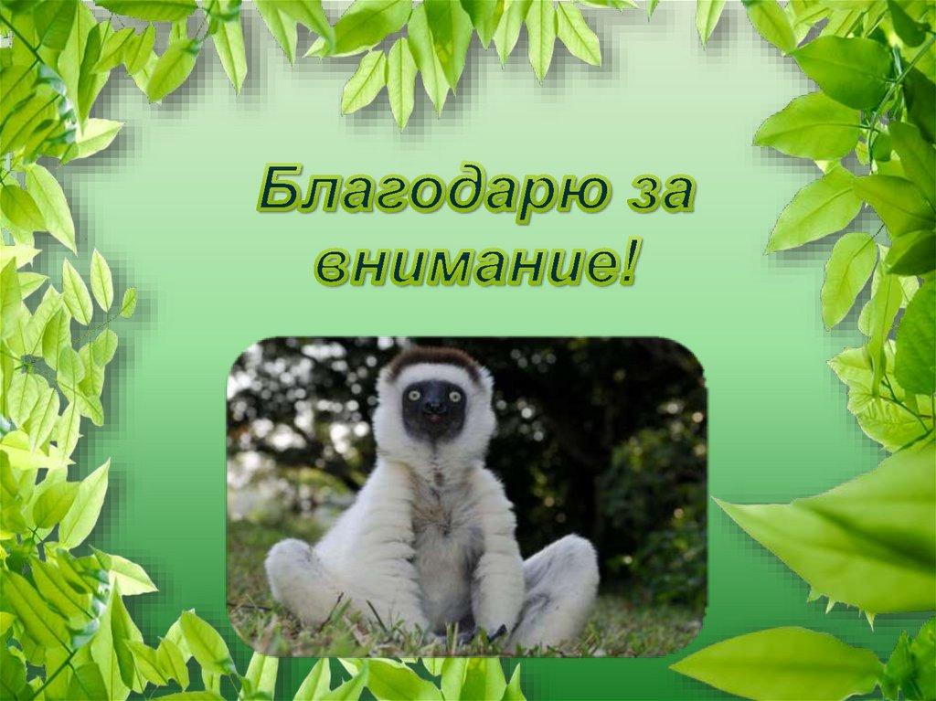 Благодарю за внимание!