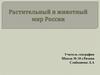 Растительный и животный мир России