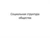 Социальная структура общества
