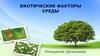 Биотические факторы среды. Отношения организмов