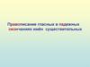 Правописание гласных в падежных окончаниях имён существительных