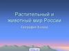 Растительный и животный мир России. 8 класс