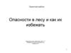 Опасности в лесу и как их избежать