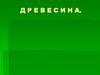 Древесина. Строение древесины