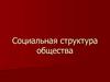 Социальная структура общества