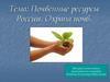 Почвенные ресурсы России. Охрана почв
