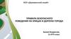Правила безопасного поведения на улицах и дорогах города