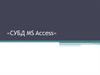 Программное приложение СУБД MS Access