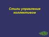 Стили управления коллективом. (Лекция 3.1)