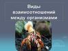 Виды взаимоотношений между организмами
