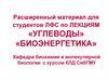 Расширенный материал по лекциям «углеводы» «биоэнергетика»