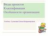 Виды проектов. Классификация. Особенности организации