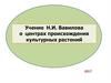 Учение Н.И. Вавилова о центрах происхождения культурных растений