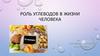 Роль углеводов в жизни человека