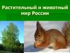 Растительный и животный мир России