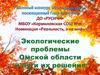 Экологические проблемы Омской области и пути их решения
