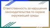 Ответственность за нарушение законодательства по охране окружающей среды