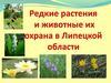 Редкие растения и животные их охрана в Липецкой области