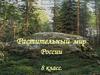 Растительный мир России. Природные зоны