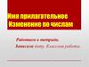 Имя прилагательное. Изменение по числам