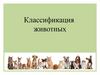 Классификация животных