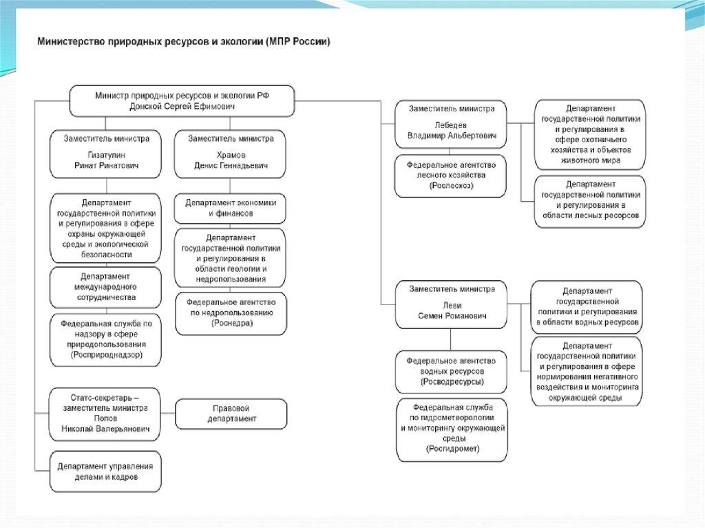 Структура органов управления Минприроды России