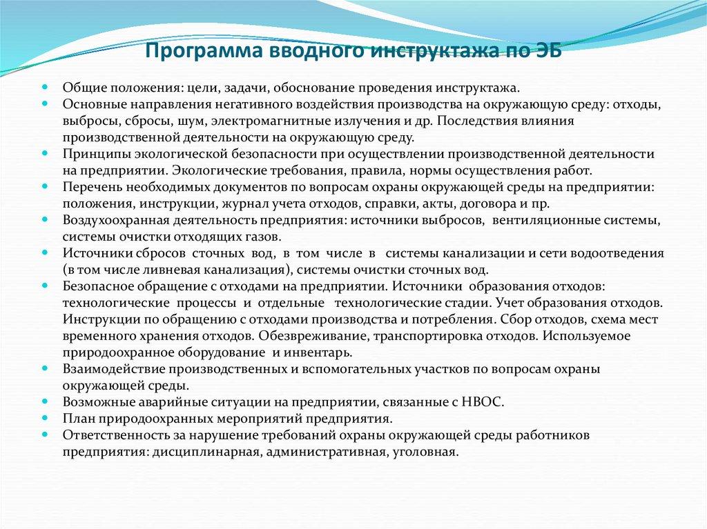 Программа вводного инструктажа по ЭБ