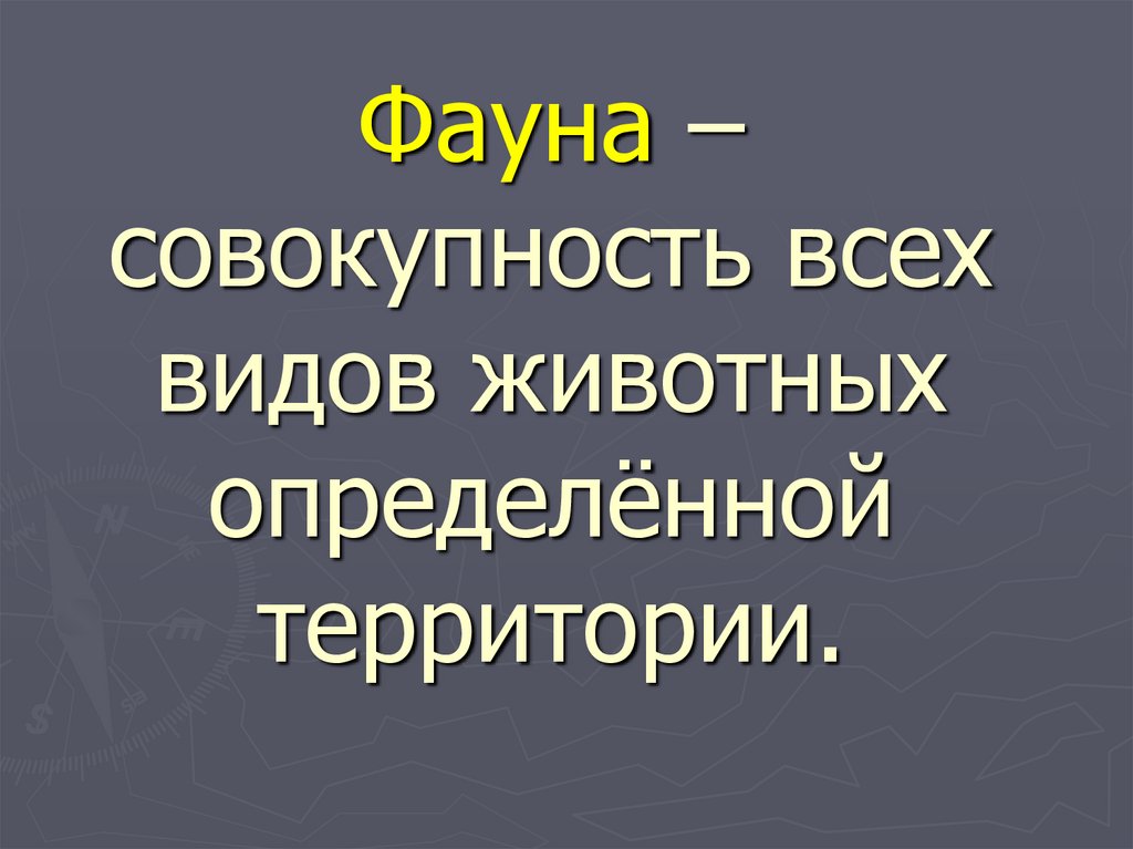 Фауна – совокупность всех видов животных определённой территории.