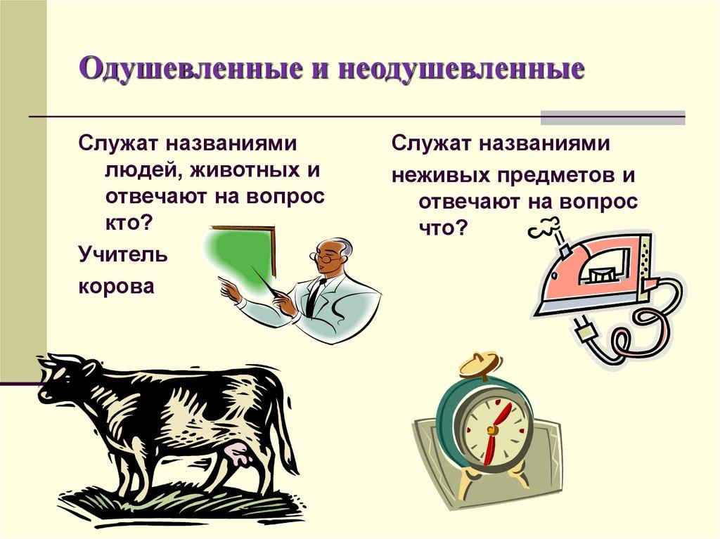 Одушевленные и неодушевленные