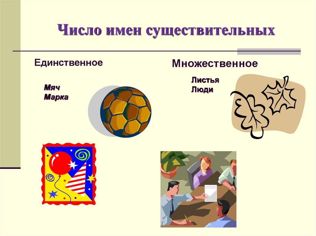 Число имен существительных