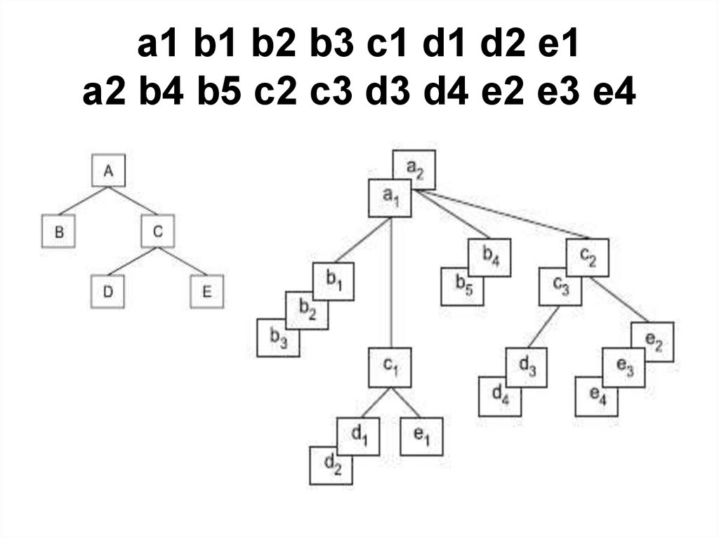 а1 b1 b2 b3 c1 d1 d2 e1 a2 b4 b5 c2 c3 d3 d4 e2 e3 e4