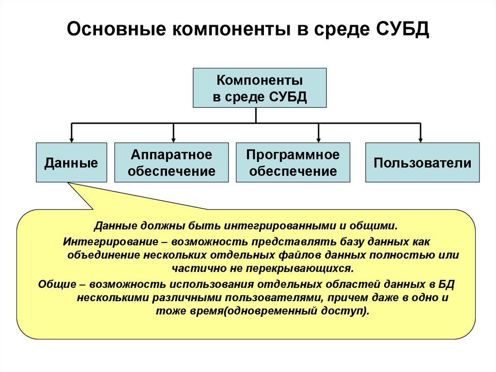 Основные компоненты в среде СУБД