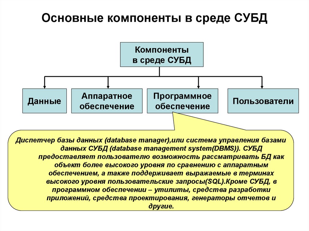 Основные компоненты в среде СУБД